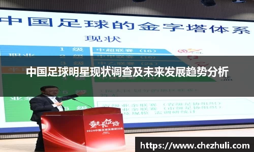 中国足球明星现状调查及未来发展趋势分析